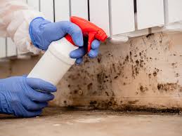 Best Indoor Air Quality Assessment  in Hayden, ID